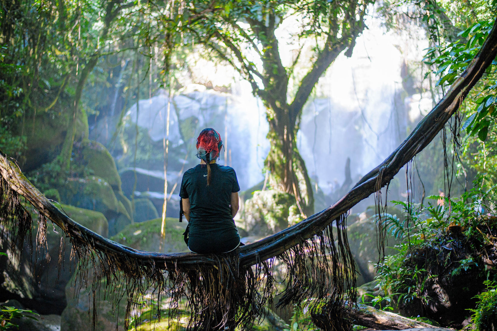 Sabah bolsters position as sustainable tourism hub 